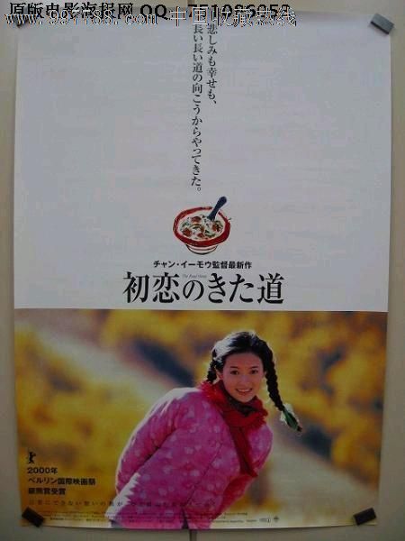 吕讷堡大学社会学文凭证书